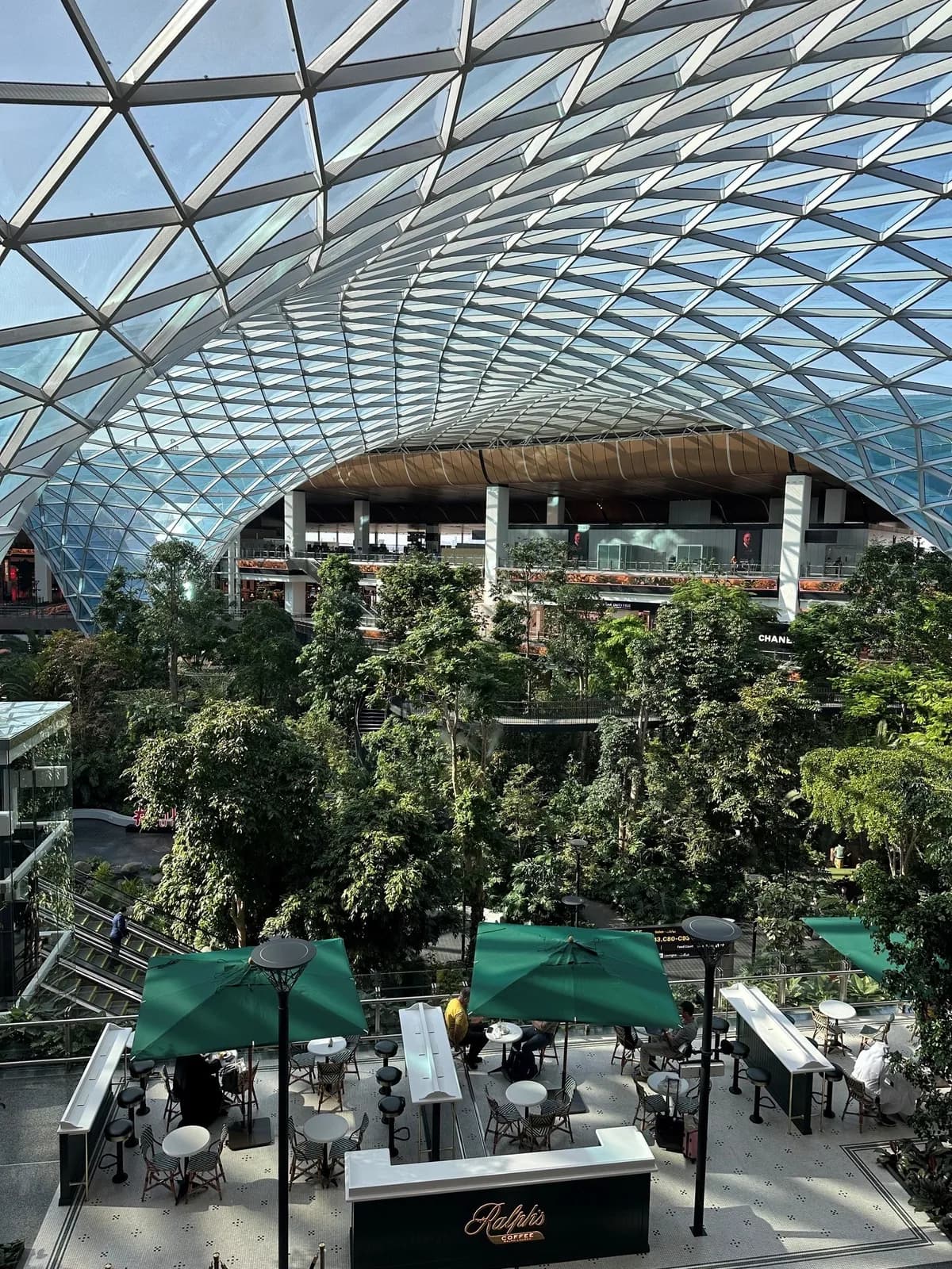 Blick aus der Qatar Airways The Garden Lounge auf den Indoor-Garten in Doha