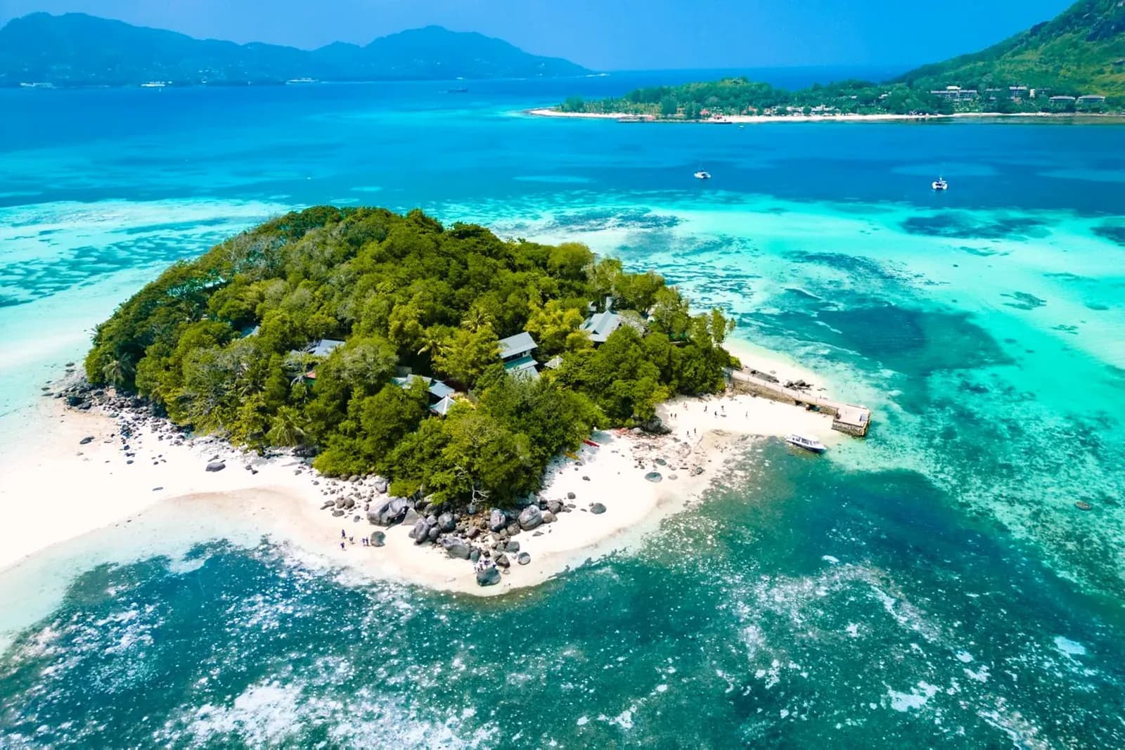 Bucht mit Palmen auf den Seychellen